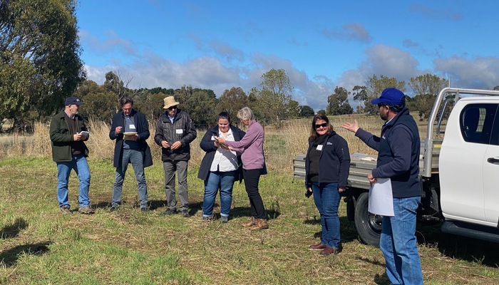 NSW DPI perennial grain research trials